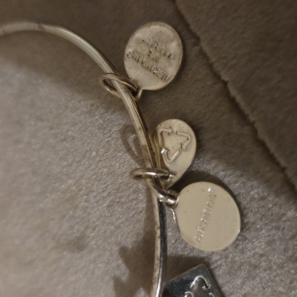 Alex and Ani Silver Bracelet with Red Heart Charm - Picture 5 of 5